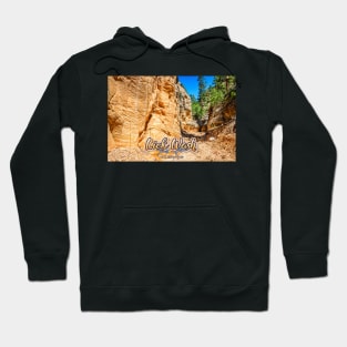 Lick Wash Trail Hike Hoodie